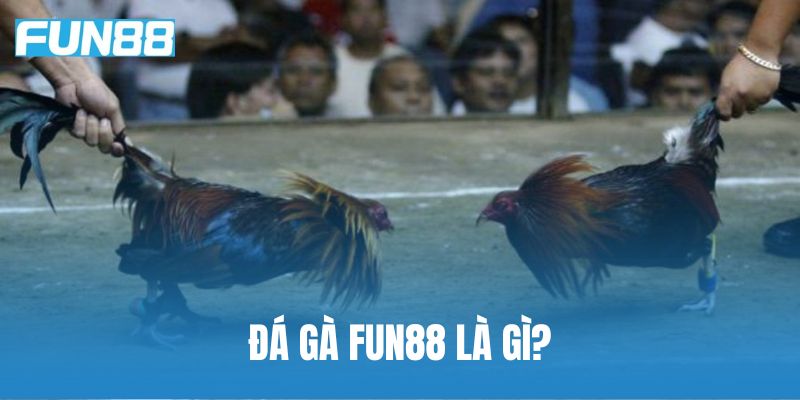 Tổng Quan Sảnh Cược